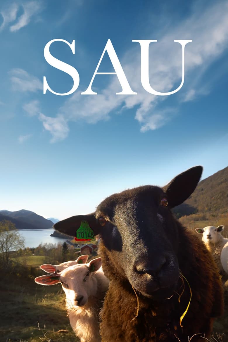 Sau