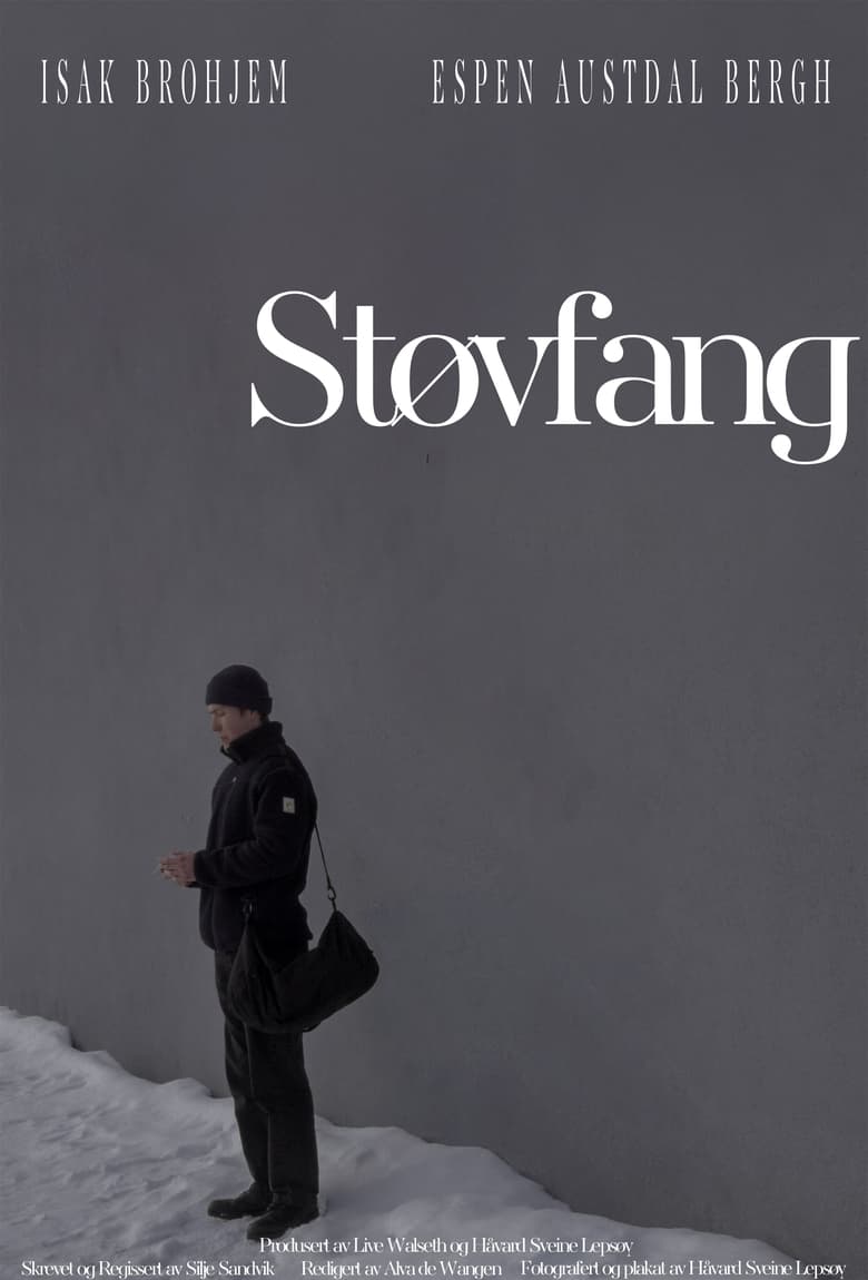 Støvfang